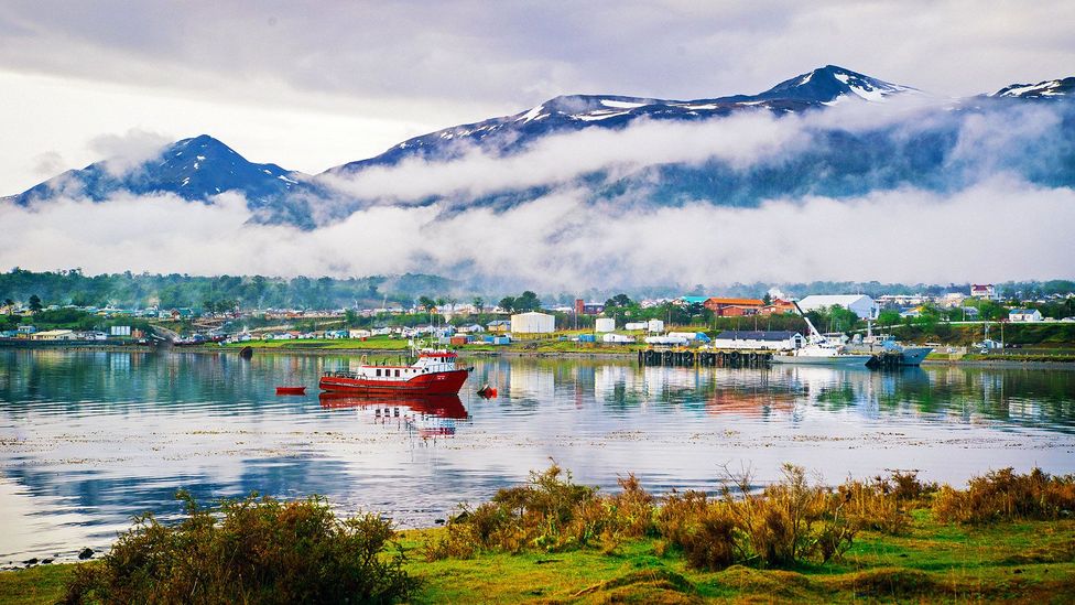 Tara de Foc este unul dintre cele mai bogate colturi ale Pamantului in ceea ce priveste briofitele (Credit: Felipe Gera)